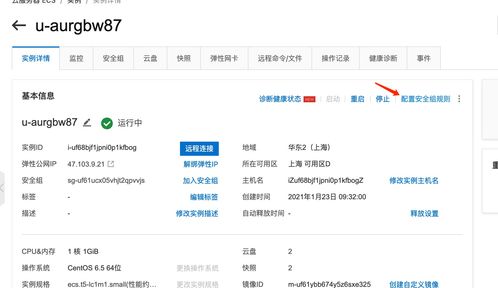 ECS云服務(wù)器基礎(chǔ)信息與上海信息系統(tǒng)集成服務(wù)
